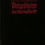 خرید و دانلود نسخه کامل کتاب Weltgeschichte im Sturmschritt