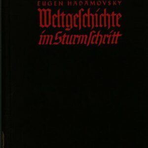 خرید و دانلود نسخه کامل کتاب Weltgeschichte im Sturmschritt