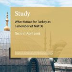 خرید و دانلود نسخه کامل کتاب What future for Turkey as a member of NATO?