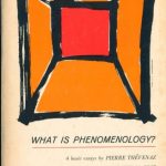 خرید و دانلود نسخه کامل کتاب What is Phenomenology?