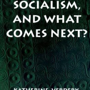 خرید و دانلود نسخه کامل کتاب What Was Socialism, and What Comes Next?