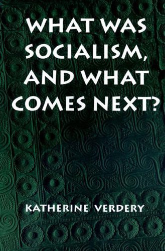 خرید و دانلود نسخه کامل کتاب What Was Socialism, and What Comes Next?_68e4ed6878afb.jpeg خرید و دانلود نسخه کامل کتاب What Was Socialism, and What Comes Next?