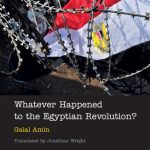 خرید و دانلود نسخه کامل کتاب Whatever Happened to the Egyptian Revolution?