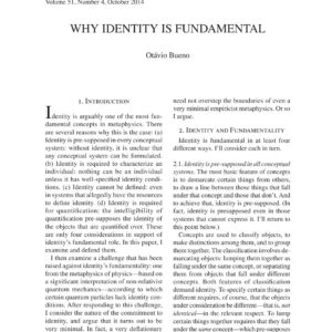 خرید و دانلود نسخه کامل کتاب Why Identity is Fundamental