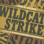 خرید و دانلود نسخه کامل کتاب Wildcat Strike: A Study in Worker-Management Relationships