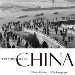 خرید و دانلود نسخه کامل کتاب Worrying about China: The Language of Chinese Critical Inquiry