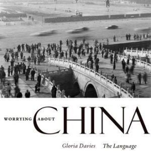 خرید و دانلود نسخه کامل کتاب Worrying about China: The Language of Chinese Critical Inquiry