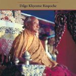 خرید و دانلود نسخه کامل کتاب Zurchungpa’s Testament: A Commentary on Zurchung Sherab Trakpa’s Eighty Chapters of Personal Advice by Dilgo Khyentse Rinpoche, Based on Shechen Gyaltsap’s Annotated Edition