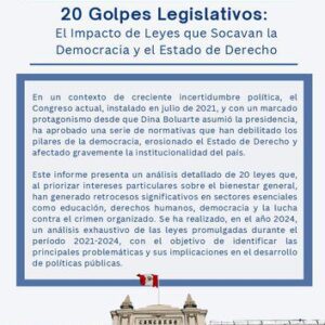 خرید و دانلود نسخه کامل کتاب 20 golpes legislativos: El impacto de leyes que socavan la democracia y el Estado de Derecho (Perú)