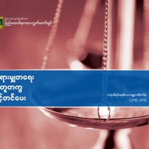 خرید و دانلود نسخه کامل کتاب Advancing Justice Together