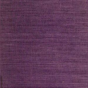 خرید و دانلود نسخه کامل کتاب Agotime : her legend