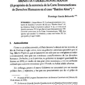خرید و دانلود نسخه کامل کتاب Amnistía y derechos humanos (A propósito de la sentencia de la Corte Interamericana de Derechos Humanos en el caso “Barrios Altos”)