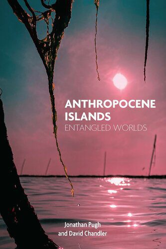 خرید و دانلود نسخه کامل کتاب Anthropocene Islands: Entangled Worlds_6906d7cbca5e2.jpeg خرید و دانلود نسخه کامل کتاب Anthropocene Islands: Entangled Worlds
