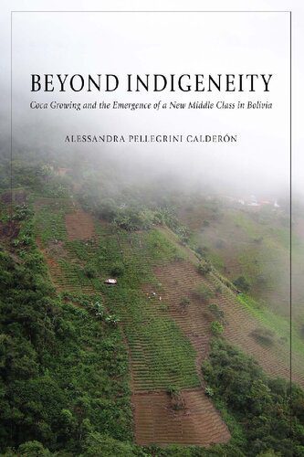 خرید و دانلود نسخه کامل کتاب Beyond Indigeneity: Coca Growing and the Emergence of a New Middle Class in Bolivia_69082c110eb9b.jpeg خرید و دانلود نسخه کامل کتاب Beyond Indigeneity: Coca Growing and the Emergence of a New Middle Class in Bolivia