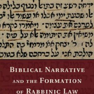 خرید و دانلود نسخه کامل کتاب Biblical Narrative and the Formation of Rabbinic Law