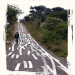 خرید و دانلود نسخه کامل کتاب Collaborative Damage: An Experimental Ethnography of Chinese Globalization