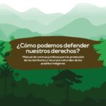 خرید و دانلود نسخه کامل کتاب ¿Cómo podemos defender nuestros derechos?  Manual de normas jurídicas para la protección de los territorios y recursos naturales de los pueblos indígenas