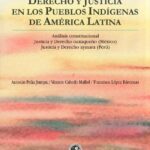 خرید و دانلود نسخه کامل کتاب Constituciones, derecho y justicia en los pueblos indígenas de América Latina: análisis constitucional, Justicia y derecho oaxaqueño (México), Justicia y derecho aymara (Perú)