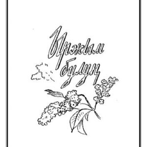 خرید و دانلود نسخه کامل کتاب Ыржым булуң