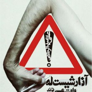 خرید و دانلود نسخه کامل کتاب آنارشیست ها واقعی ترند