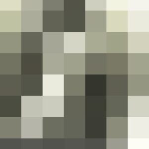 خرید و دانلود نسخه کامل کتاب Das Frauenleben der Erde