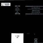 خرید و دانلود نسخه کامل کتاب Derecho de Daños