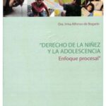 خرید و دانلود نسخه کامل کتاب Derecho de la Niñez y Adolescencia. Enfoque procesal