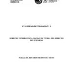 خرید و دانلود نسخه کامل کتاب Derecho y emergencia: hacia una teoría del derecho del enemigo