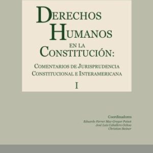 خرید و دانلود نسخه کامل کتاب Derechos humanos en la Constitución : comentarios de jurisprudencia constitucional e interamericana. Tomo I