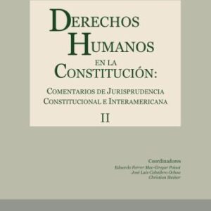 خرید و دانلود نسخه کامل کتاب Derechos humanos en la Constitución : comentarios de jurisprudencia constitucional e interamericana. Tomo II