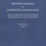خرید و دانلود نسخه کامل کتاب Derechos Humanos y Jurisdicción Constitucional