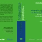 خرید و دانلود نسخه کامل کتاب Derechos y garantias de la niñez y adolescencia: Hacia la consolidación de la doctrina de protección integral