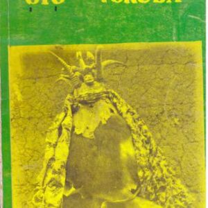 خرید و دانلود نسخه کامل کتاب Egungun among the Oyo Yoruba