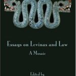 خرید و دانلود نسخه کامل کتاب Essays on Levinas and Law: A Mosaic