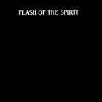 خرید و دانلود نسخه کامل کتاب Flash of the spirit: African and Afro-American art and philosophy