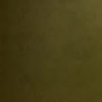 خرید و دانلود نسخه کامل کتاب Handbook of South American Indians Vol. 1 The Marginal Tribes