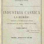 خرید و دانلود نسخه کامل کتاب Industria casnica la romani