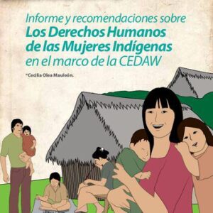 خرید و دانلود نسخه کامل کتاب Informe y recomendaciones sobre los derechos humanos de las mujeres indígenas en el marco de la CEDAW (Convención sobre la eliminación de todas las formas de discriminación contra la mujer)