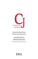 خرید و دانلود نسخه کامل کتاب Introduccion al Derecho Procesal: Nuevas aproximaciones