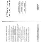 خرید و دانلود نسخه کامل کتاب Introducción Al Derecho Procesal