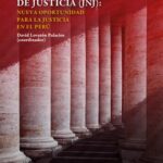 خرید و دانلود نسخه کامل کتاب Junta Nacional de Justicia (JNJ): nueva oportunidad para la justicia en el Perú