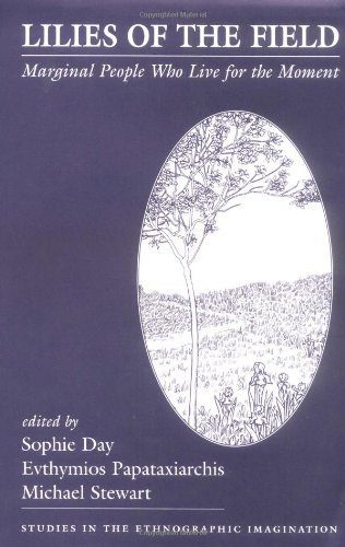 خرید و دانلود نسخه کامل کتاب Lilies Of The Field: Marginal People Who Live For The Moment_690746c347889.jpeg خرید و دانلود نسخه کامل کتاب Lilies Of The Field: Marginal People Who Live For The Moment