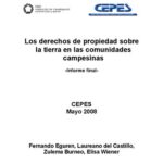 خرید و دانلود نسخه کامل کتاب Los derechos de propiedad sobre la tierra en las comunidades campesinas (Perú). Informe final