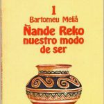 خرید و دانلود نسخه کامل کتاب Los guaraní-chiriguano. Tomo 1: Ñande reko/ nuestro modo de ser y bibliografía general comentada