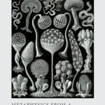 خرید و دانلود نسخه کامل کتاب Metaphysics from a Biological Point of View