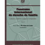 خرید و دانلود نسخه کامل کتاب Panorama Internacional de Derecho de Familia. Culturas y sistemas jurídicos comparados. Tomo II