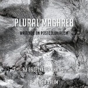 خرید و دانلود نسخه کامل کتاب Plural Maghreb: Writings on Postcolonialism