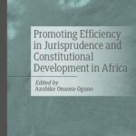 خرید و دانلود نسخه کامل کتاب Promoting Efficiency in Jurisprudence and Constitutional Development in Africa