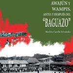 خرید و دانلود نسخه کامل کتاب Pueblos Awajún y Wampís (Aents), antes y después del “Baguazo”