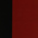 خرید و دانلود نسخه کامل کتاب Race and Modern Science – A Collection of Essays by Anthropologists, Sociologists and Psychologists